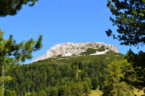 Cima del Corno Bianco incorniciato dagli alberi - Trentino Alto Adige (IT) photo