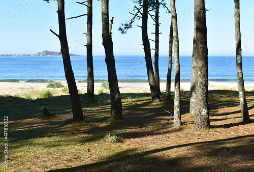 Beach with pine trees and blue sky at Rias Baixas region. Muxia, Coruña, Galicia, Spain. © JB