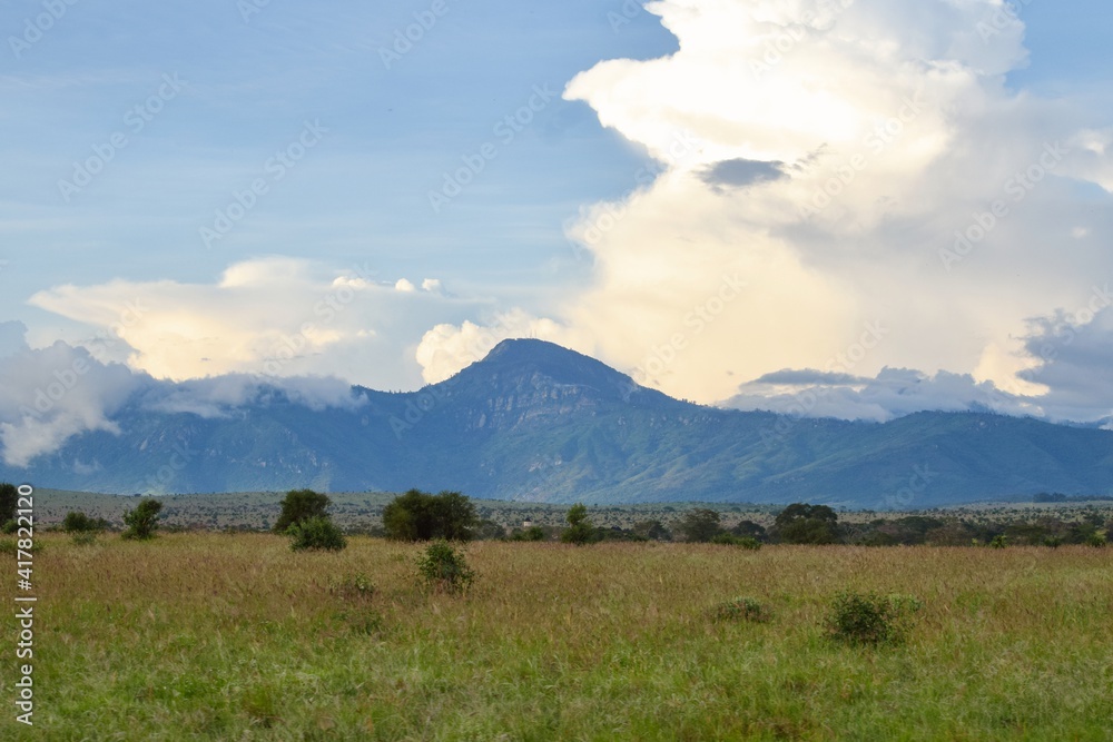 Fototapeta premium Scenic savannah grassland landscapes against sky in Tsavo National Park, Kenya