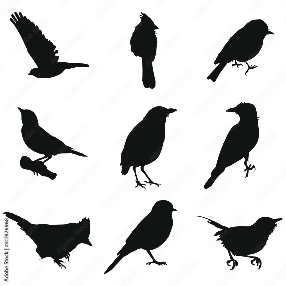 Fototapeta premium set of silhouettes of birds posing diffrent styles
