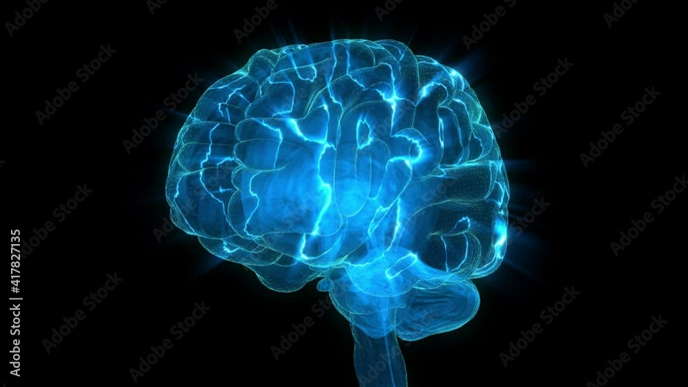 Human Brain Human Brain