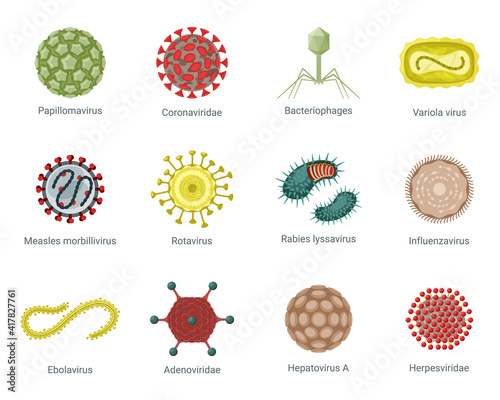 Microscopic structure viruses set. Round pinch influenza with ball hepatovirus green polygons papillomavirus wriggling ebola with numerous coronovirus spider like bacteriophage. Parasite vector.