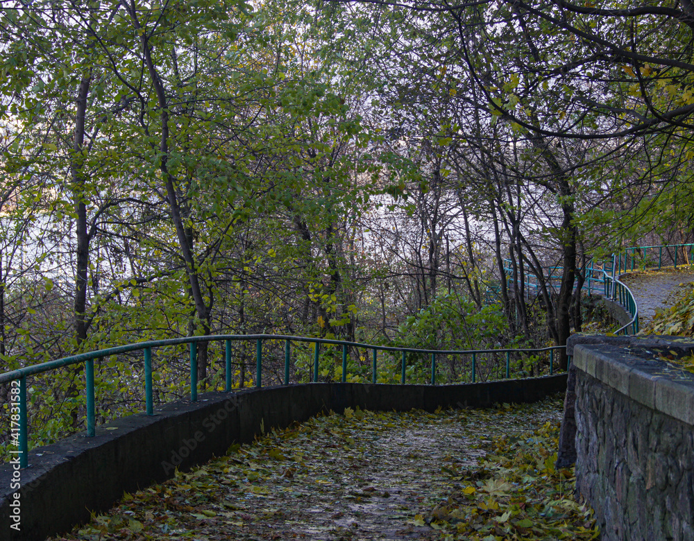 Fototapeta premium autumn november alley