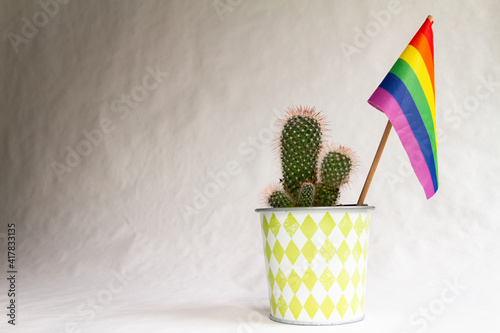  rainbow flag in a cactus flowerpot 