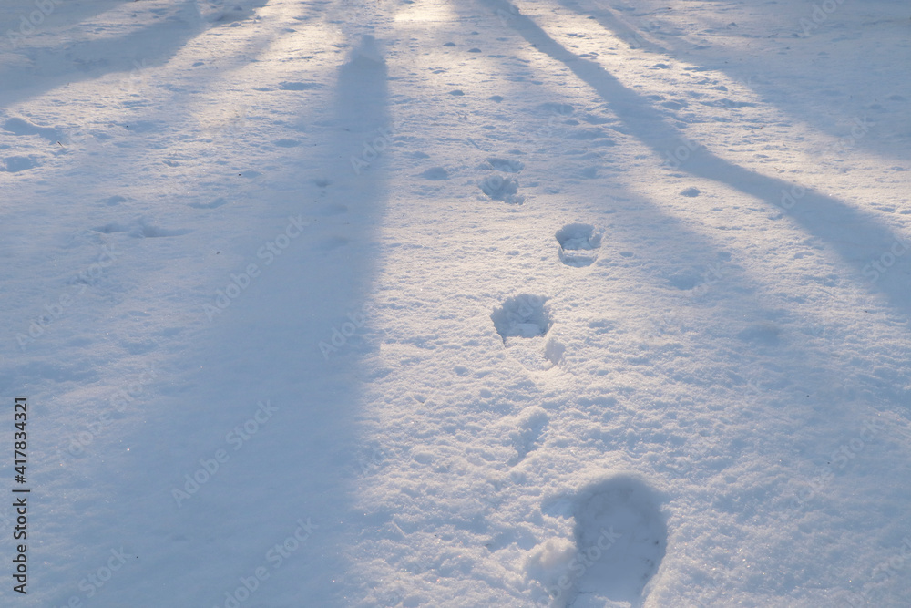 Footprints in white snow outdoors. Winter season Footprints in white snow outdoors. Winter season