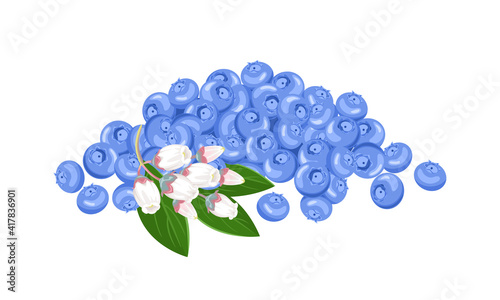 Heap of blueberry isolated on white background. Vector illustration of forest wild berries in cartoon flat style.