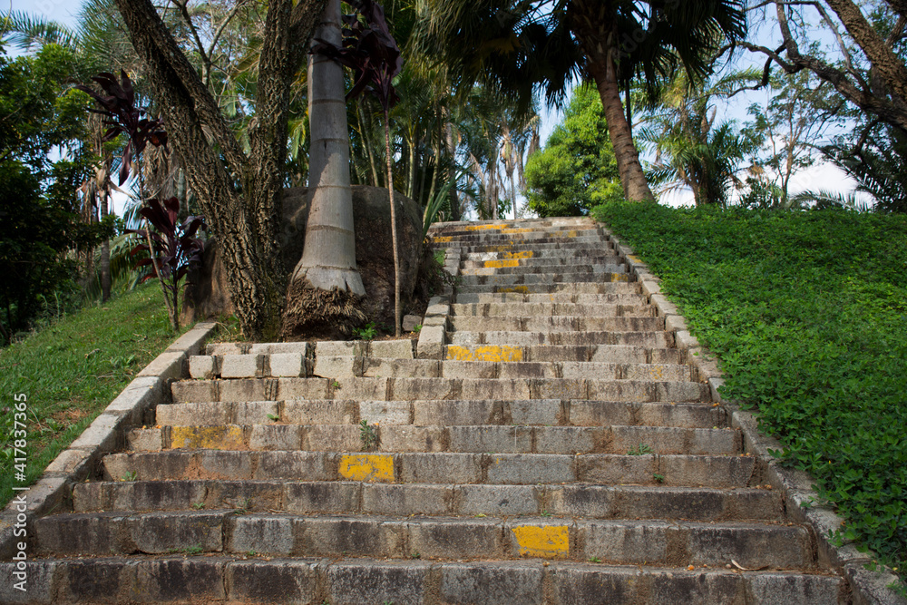 Fototapeta premium Stone stairs in with yellow bricks and a palm tree