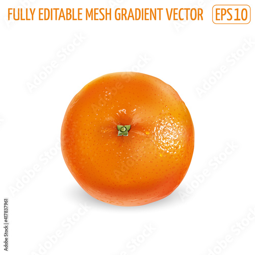 Ripe unpeeled orange on a white background.