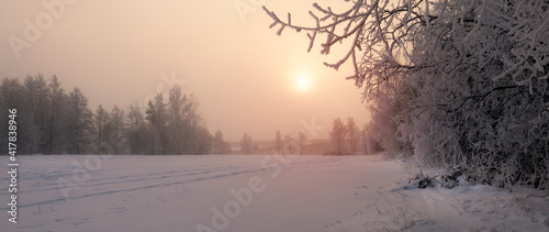 sunrise in the snow