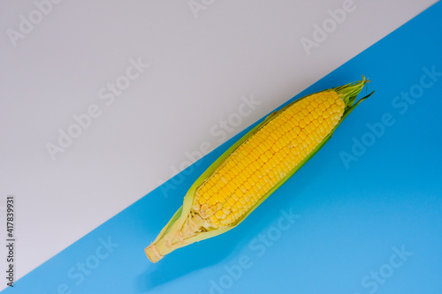 Fresh yellow corn from the fields is placed on the kitchen floor.