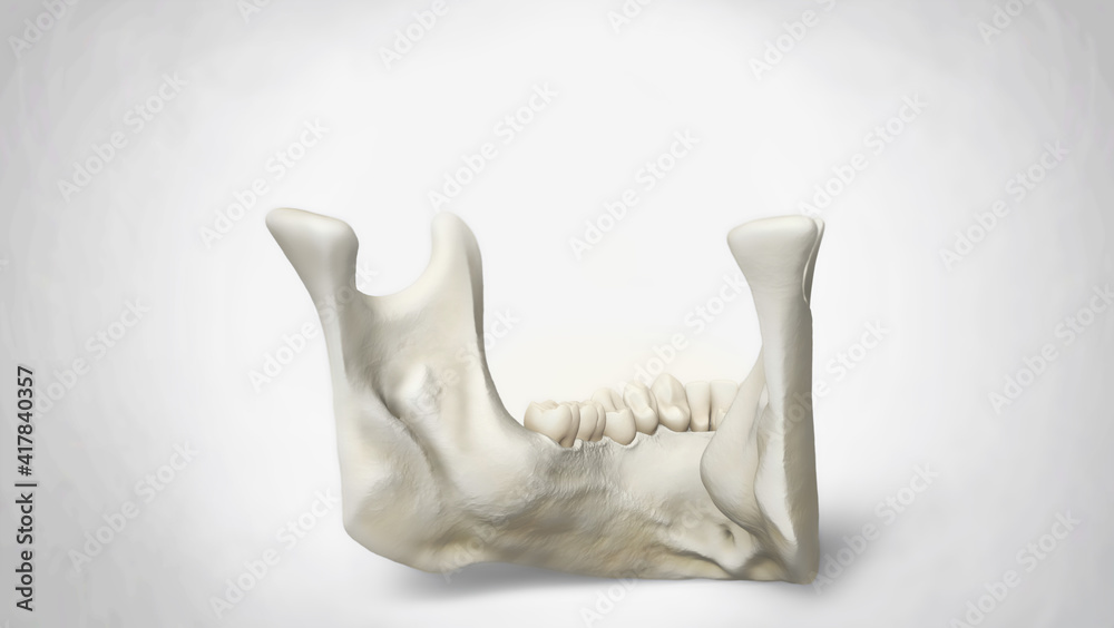 3D Recreation of Male Skull