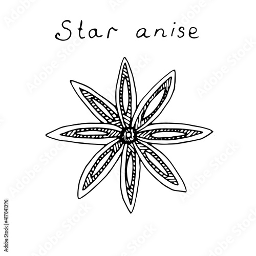 Star anise, vector illustration, hand drawn, sketch