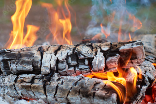 burning bonfire from logs in nature, blurred background, close-up