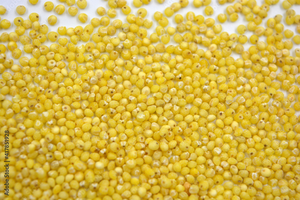 Useful to human health cereals, yellow millet scattered on a white background. 