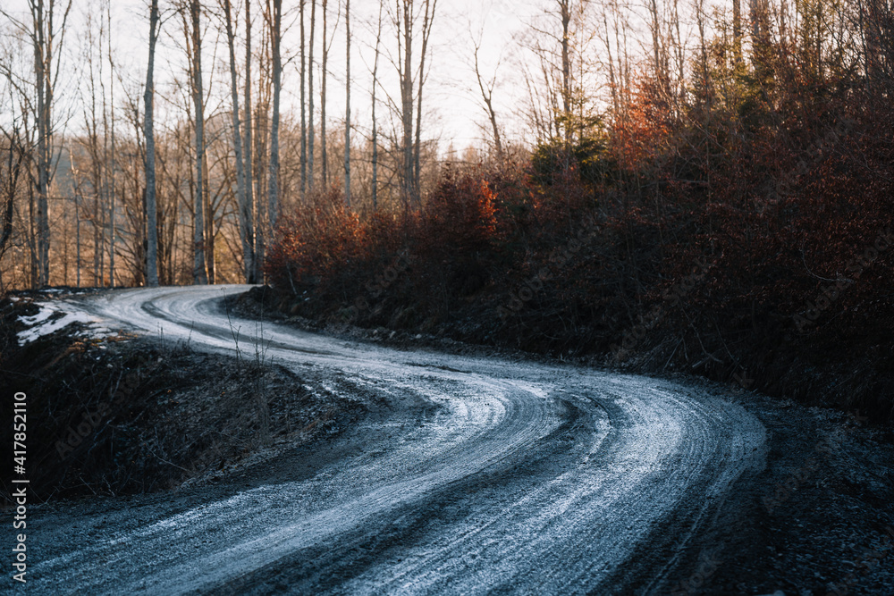 Fototapeta premium Muddy road in the forest in winter