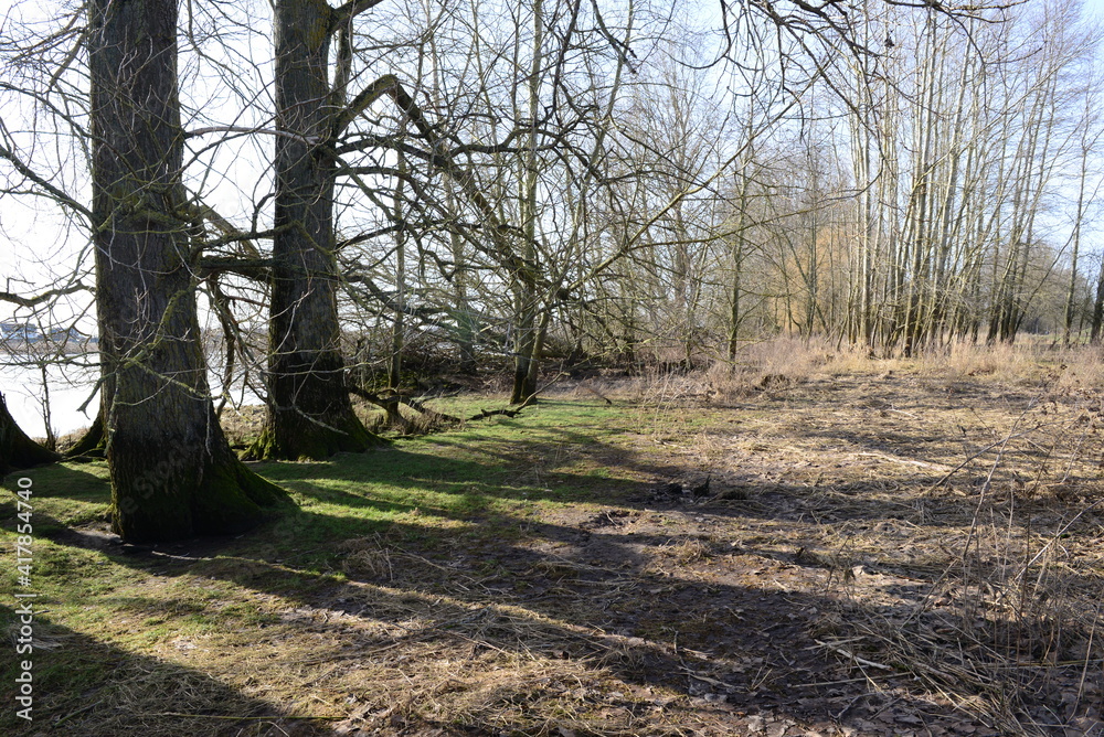 Zollenspieker_087
Zollenspieker_087
