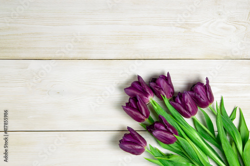 Fototapeta Naklejka Na Ścianę i Meble -  Purple tulips on a white wooden background. Fresh spring flowers on white wooden planks background with copy space.