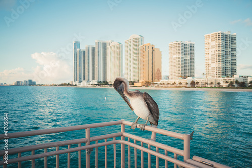 beautiful panoramic view beach florida tropical pelican horizon sea sunny isles beach buildings apartments hotels tourism summer