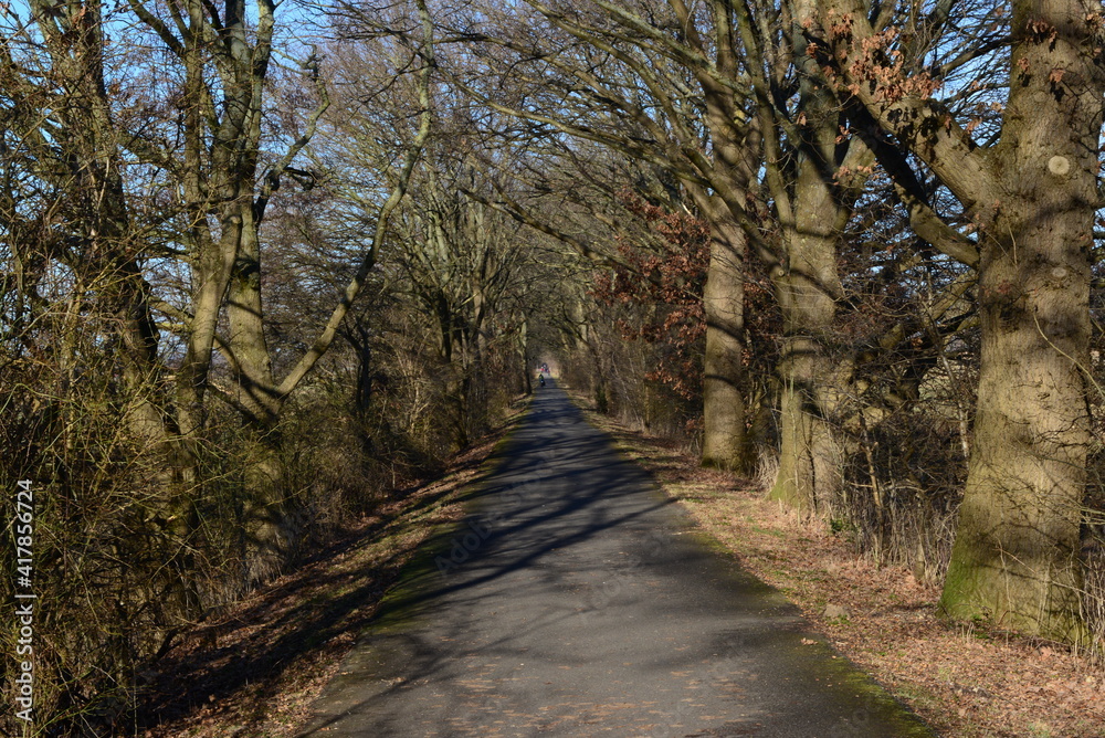 Obraz premium Zollenspieker_110