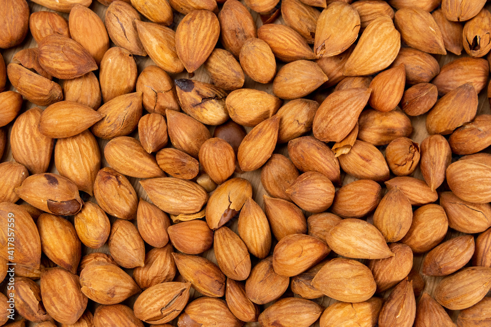 Apricot pits for the manufacture of tablets and drugs. background texture. close up Apricot pits for the manufacture of tablets and drugs. background texture. close up