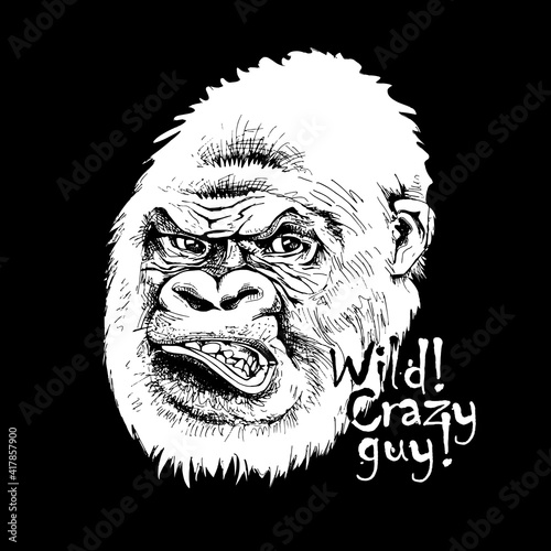 Sketch of a Gorilla. Wild! Crazy guy! - lettering quote. Hand drawn style print. Vector black and white illustration.