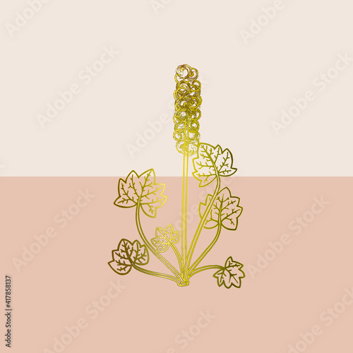 Floral abstract background 