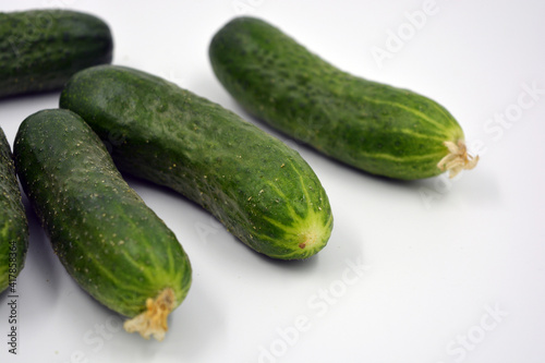 Fresh delicious ripe natural green cucumbers growing on a Ukrainian garden, vegetable garden, field. 