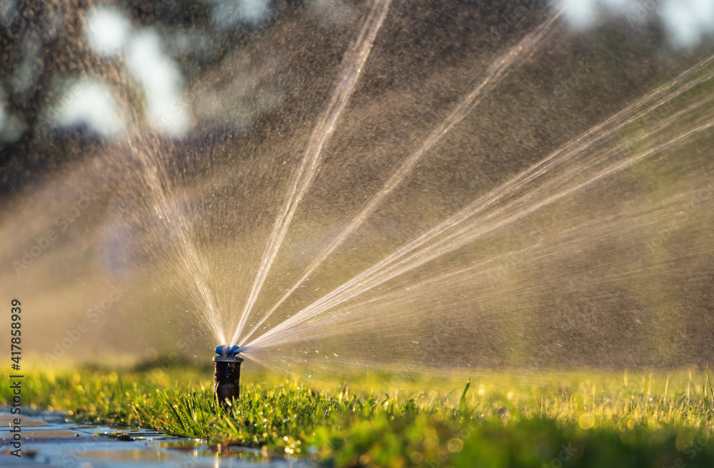 Automatic sprinkler system watering the lawn. Lawn irrigation in public park. - obrazy, fototapety, plakaty 