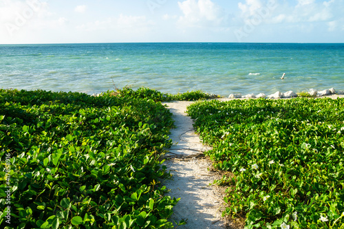Bahia Honda State Park in the Florida Keys. March 2021