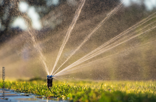 Automatic sprinkler system watering the lawn. Lawn irrigation in public park. photo