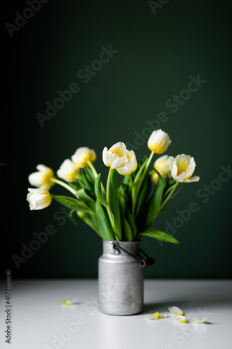 gelb wei  e Tulpen in einer rustikalen Zink Milchkanne - Blumenstrau   vor gr  ner Wand