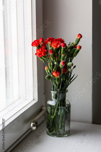 Rote Nelken Blumen in weichem Fensterlicht, Frühling