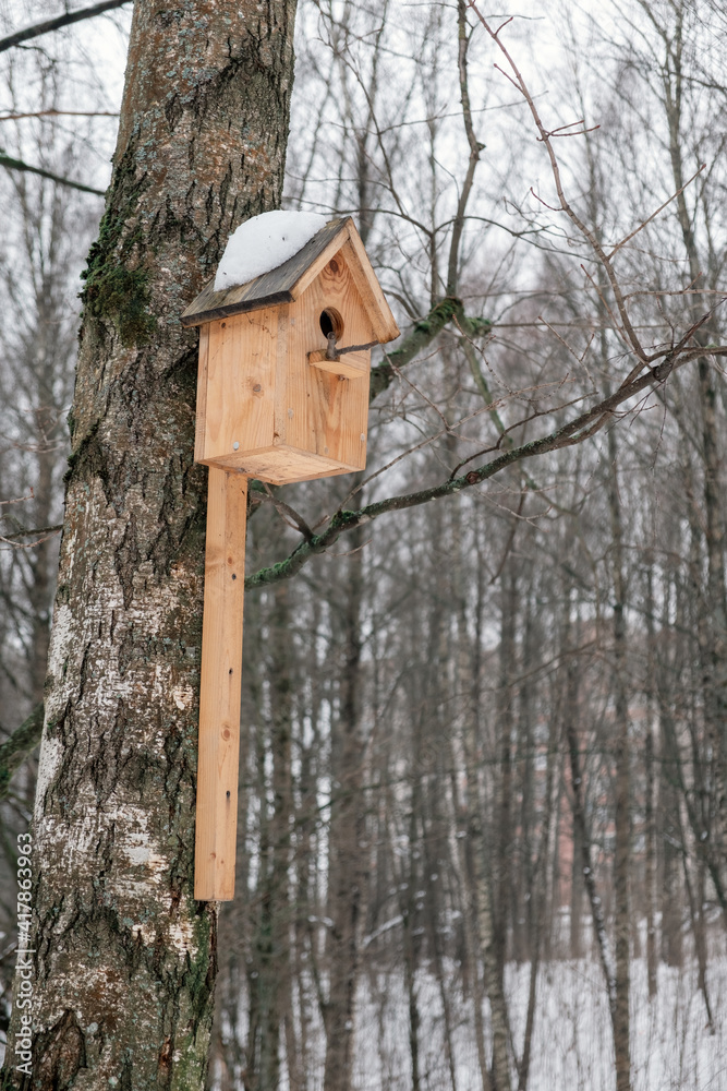 Homemade birdhouse hung on a dare in the park.