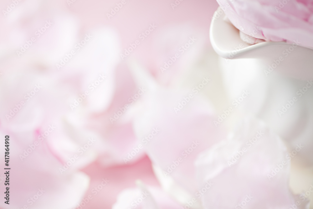 Pink Peony Petals botanical background in natural daylight with copy space for summer, spring or Mother's Day themes 