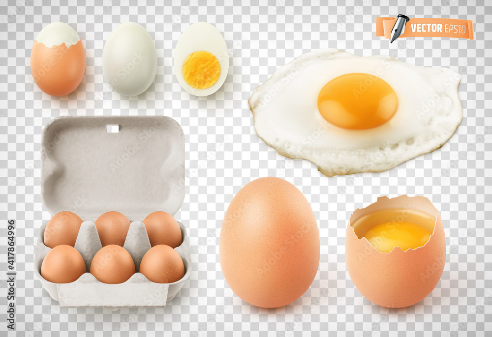 Oeufs vectoriels sur fond transparent