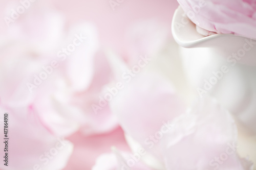 Pink Peony Petals botanical background in natural daylight with copy space for summer, spring or Mother's Day themes  © Denise Torres
