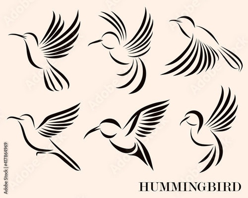 Line art Vector illustration six image set of flying hummingbirds. Suitable for making logos © Sakarapap