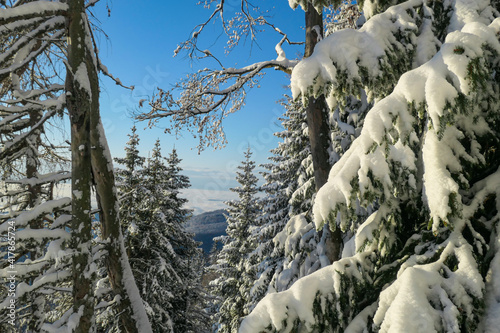 First sunbeams shining through the branches at the top of snow covered peak of Schoeckl, Austrian Alps. The trees are sprinkled with snow. Winter landscape.Daybreak. Dense forest. Frosty early morning photo