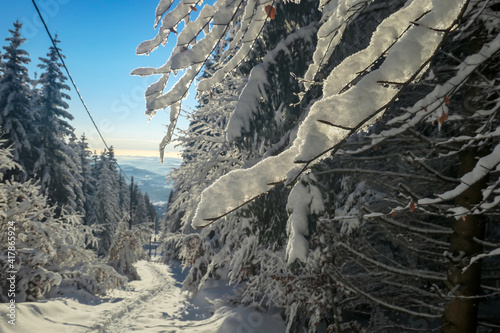 First sunbeams shining through the branches at the top of snow covered peak of Schoeckl, Austrian Alps. The trees are sprinkled with snow. Winter landscape.Daybreak. Dense forest. Frosty early morning photo