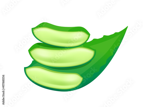 aloe vera leaves isolated on white, aloe vera stalk, clip art aloe vera leaf