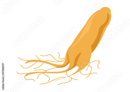 ginseng isolated on white, ginseng root, clip art ginseng