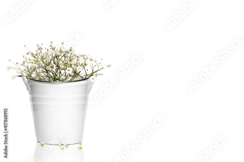 White flowers in a ceramic bucket. Postcard. White background. Isolate. Place for your text.
