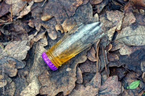 a transparent broken glass neck of a bottle with the remainder of a yellow drink lies on brown fallen leaves in an autumn park