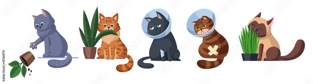Cats in different situations set. Cat throws off the plant. Cat is eating a plant. Two cats in Elizabethan collars. Cat eats sprouted oats. Pet care concept illustration. Isolated on white background