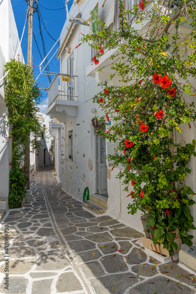 Fototapeta premium Traditional Cycladitic alley with a narrow street, whitewashed houses and a blooming bougainvillea in Parikia, Paros island, Greece.