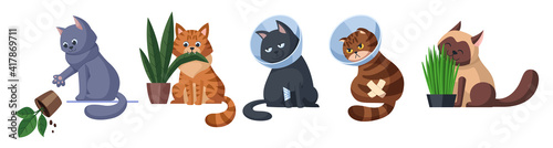 Cats in different situations set. Cat throws off the plant. Cat is eating a plant. Two cats in Elizabethan collars. Cat eats sprouted oats. Pet care concept illustration. Isolated on white background