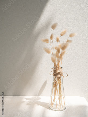 Beautiful dried Lagurus ovatus flowers composition in modern glass vase  decoration with rope on  beige table and cement wall background with long shadow photo