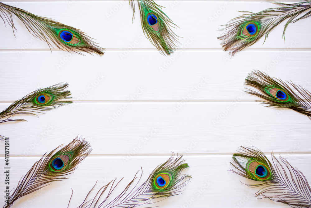 Obraz premium Peacock feathers on a white wooden background as a space for design with place for text.