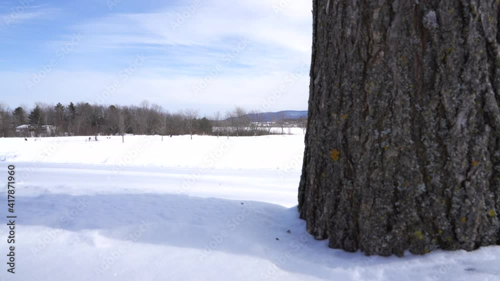 Pan shot of Granby parc daniel johnson in winder