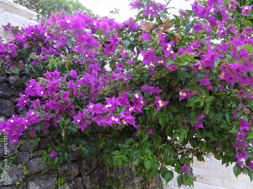 Uluwatu Temple (Pura Luhur Ulu Watu) in Bali, Indonesia - ウルワツ寺院 バリ島